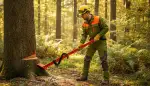 Sicher Bäume Fällen: Ihr Fällheber-Ratgeber