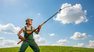 Die 8 besten Teleskop Astsägen im Vergleich (Juli 2026)